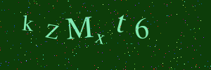 Validation image