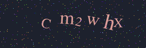 Validation image