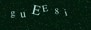 Validation image