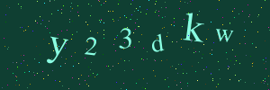 Validation image
