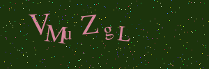 Validation image
