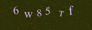 Validation image